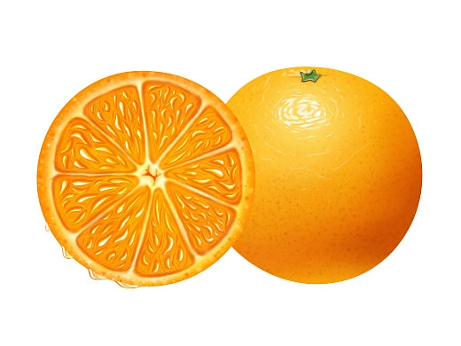 Vitamin C Supplementation Is Not The More The Merrier