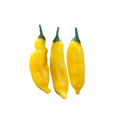 Is Expiring Food Edible?