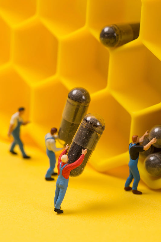 What Are Hard Capsules