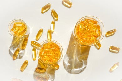 What is the difference between gelatin capsules and vegetable capsules