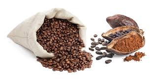Flavanols In Cocoa Help Enhance Short-term Memory In The Elderly