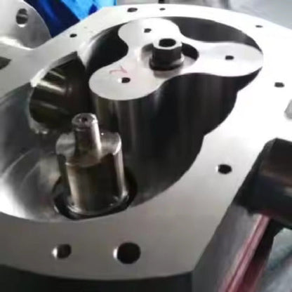 Electric Stainless Steel Rotor Pump