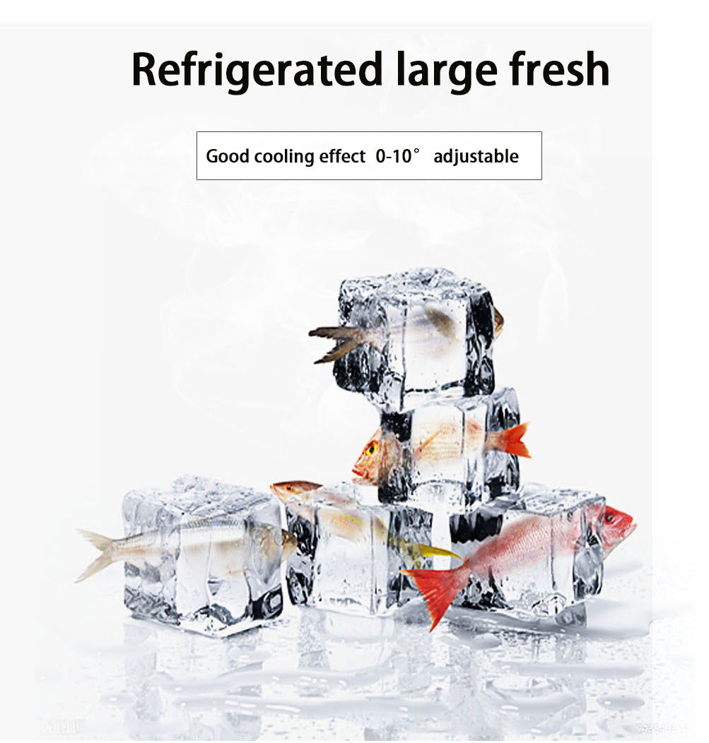 Portable Small Refrigerator for Beverages, Fruits and Breast Milk