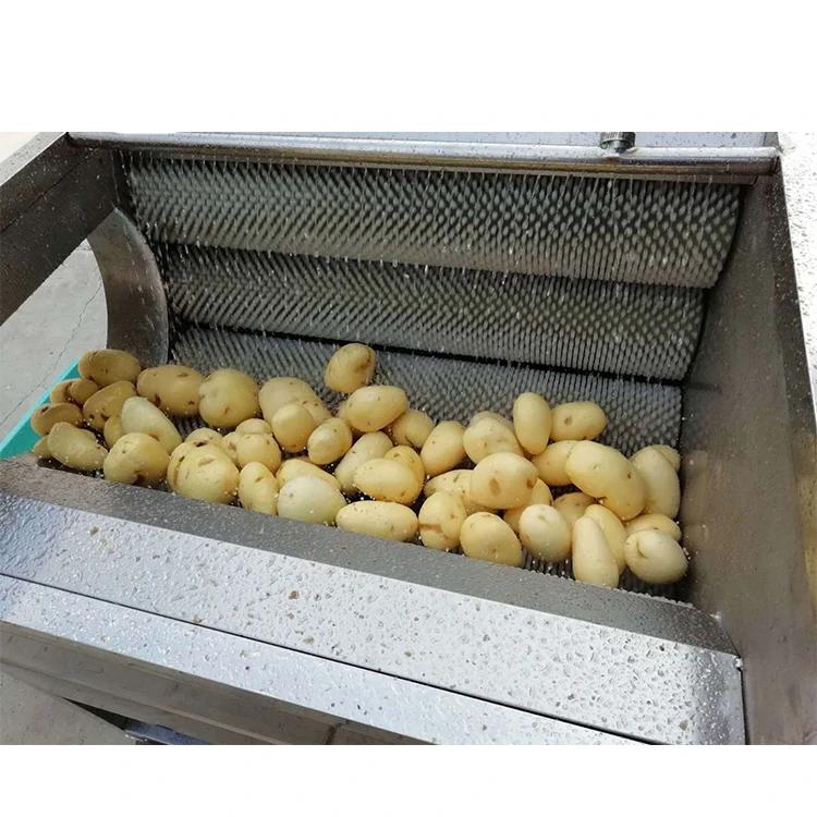 Potato Washing Peeling Machine Lotus Root Peeling Machine